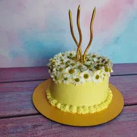 کیک خانگی محبوب|خوردنی و آشامیدنی|مشهد, کوی المهدی|دیوار