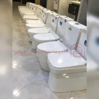 پخش فرنگی ایساتیس چینی کرد مروارید گریدA بیده دار