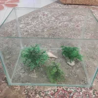 شیشه آکواریوم طول ۵۰