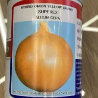 توزیع انواع بذرپیاز گوجه فرنکی هندوانه قیمت تعاونی|خدمات باغبانی و درختکاری|جیرفت, |دیوار