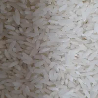 برنج ایرانی|خوردنی و آشامیدنی|اسکو, |دیوار