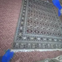 فرش|فرش|گنبد کاووس, |دیوار