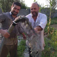 حفاری چاه نیمه عمیق و لای روبی ( امین )|خدمات پیشه و مهارت|صومعهسرا, |دیوار