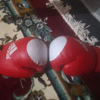 دستکش بوکس|تجهیزات ورزشی|یاسوج, |دیوار