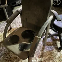 صندلی اداری|مبلمان اداری|اهواز, نبوت|دیوار