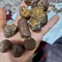 شهاب سنگ|جواهرات|شیراز, شیخ علی چوپان|دیوار