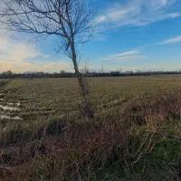 فروش ۷۰۰۰ متر شالیزار مکانیزه در گسکرمحله رودسر