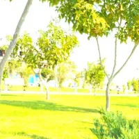 10 هکتار زمین روستای میاندشت