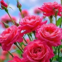 رهن و کرایه منزل