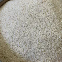 نیم دانه هاشمی