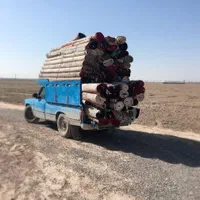 قالیشویی ومبل شویی تخصصی نظری (تمام نقاط مشهد)|خدمات نظافت|مشهد, شهید هاشمی نژاد|دیوار