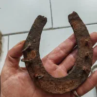 نعل|کلکسیون اشیاء عتیقه|مشهد, نرگس (شهرک غرب)|دیوار