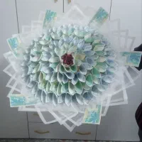 دسته گل با پول و ربان