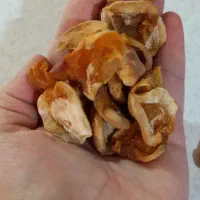 رب آلوچه .قیصی .لواشک ۷ میوه|خوردنی و آشامیدنی|نهاوند, |دیوار