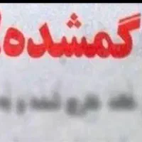 مدارک گم شده به نام بخشی