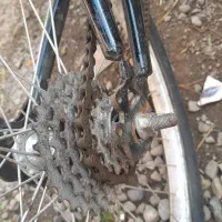 دوچرخه ۲۴|دوچرخه، اسکیت، اسکوتر|رشت, فخب|دیوار