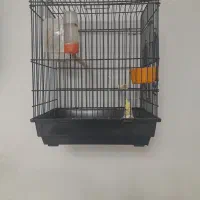 قفس ۱۰۳۲ فقط معاوضه