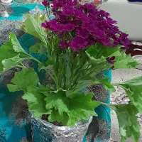 گمشده