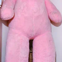 فروش فوری خرس ۱۷۰سانتی