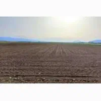 زمین کشاورزی