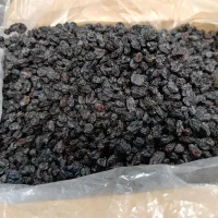 کشمش سیاه بیدانه