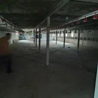 مرغداری بیست هزاری