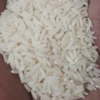 فروش برنج هاشمی سورتینگ شده|خوردنی و آشامیدنی|رشت, حمیدیان|دیوار