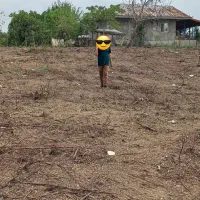 زمین باغی ویو ابدی|فروش زمین و ملک کلنگی|رشت, استقامت ۲|دیوار