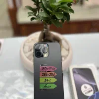 ۱۶ پرومکس ۲۵۶گیگ|موبایل|ارومیه, |دیوار