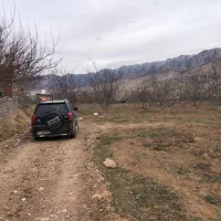 زمین کشاورزی و ویلایی در تلمادره|فروش زمین و ملک کلنگی|کیاسر, |دیوار