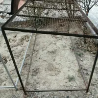 قفسه میوه فروشی