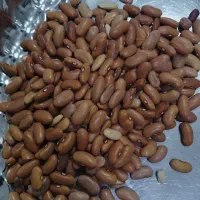 حبوبات (ماش ،عدس ریز ،لوبیا )|عمدهفروشی|بندر کنگان, |دیوار