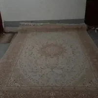 فرش کرم رنگ|فرش|فولادشهر, مسکن مهر فولادشهر|دیوار