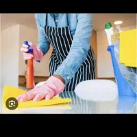خانم جهت نظافت و کار منزل