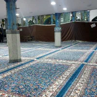 فروش قالی نو|فرش|زرند, |دیوار