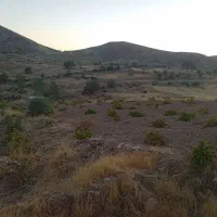 فروش باغچه|فروش دفتر صنعتی، کشاورزی، تجاری|شیراز, داریون|دیوار