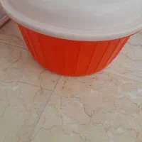 جا نانی سالم ومحکم