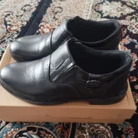 کفش چرم 41