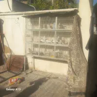 قفس ۹تا تایی با کفی متحرک