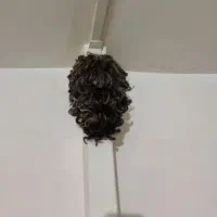 گیس کوتاه