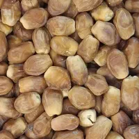 خرمای زاهدی درجه 1