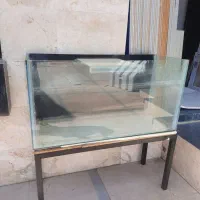 اکواریوم