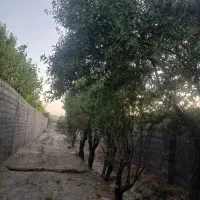 فروش-باغ-1550-متری