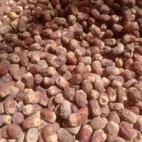 خرما درجه یک 2 تن