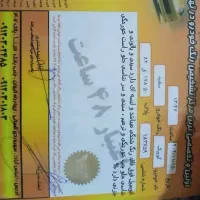 کوییک ۱۴۰۲|خودرو سواری و وانت|تهران, ونک|دیوار