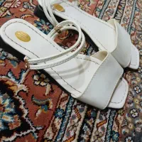 کفش|کیف، کفش، کمربند|بهبهان, |دیوار