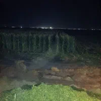 ذرت علوفه ای|لوازم جانبی حیوانات|سیمین شهر, |دیوار