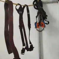 زین بختیاری|اسب و تجهیزات اسب‌سواری|سبزوار, عظیمیان|دیوار