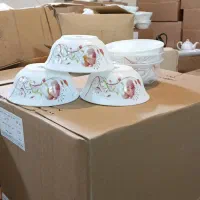 کاسه آبگوشت طرح دار