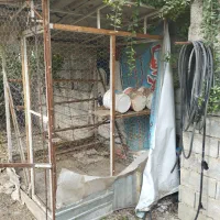 قفس مرغ ارتفاع 180سانت|لوازم جانبی حیوانات|چمستان, |دیوار